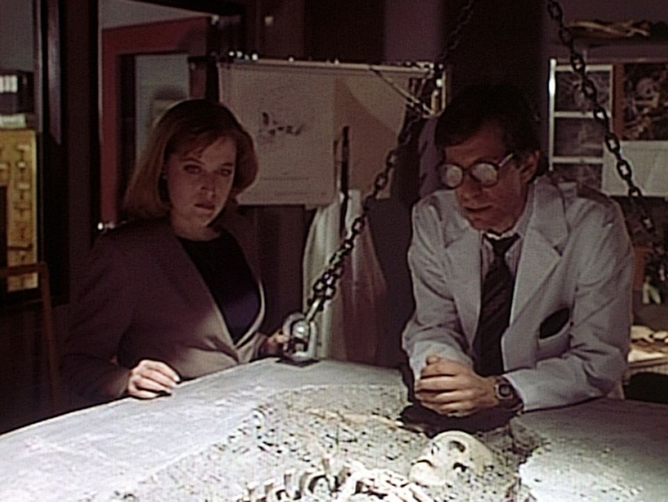 Scully (Gillian Anderson, l.) und Dr. Plith (Jerry Wasserman, r.) können anhand eines 61 Jahre alten Skeletts endlich beweisen, dass Eugene Tooms e... - Bildquelle: TM +   2000 Twentieth Century Fox Film Corporation. All Rights Reserved.