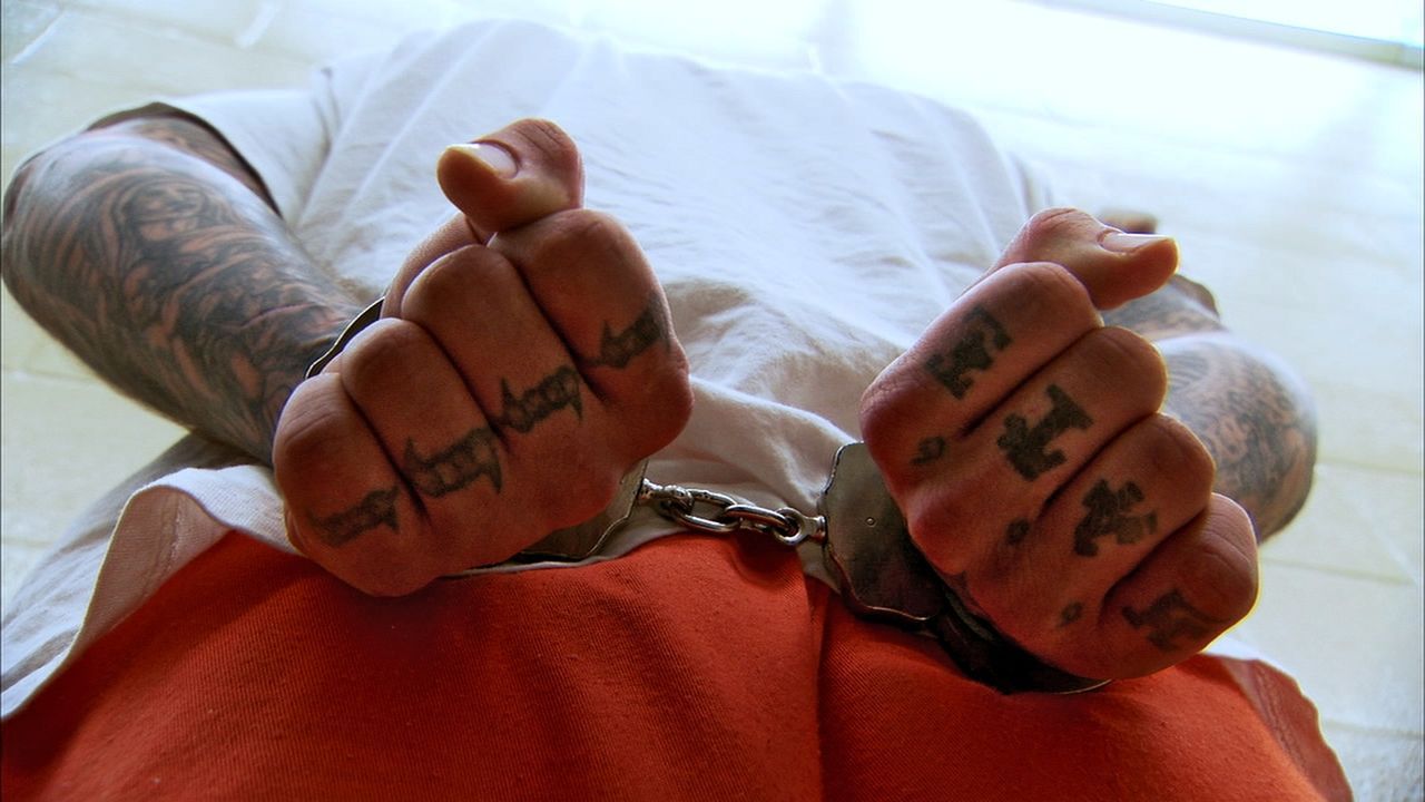 Im Gefängnis hat jedes Tattoo eine Bedeutung und ist nicht selten das Zeichen für eine bedeutungsvolle Gangzugehörigkeit ... - Bildquelle: 2010 NGC Network US, LLC All Rights Reserved