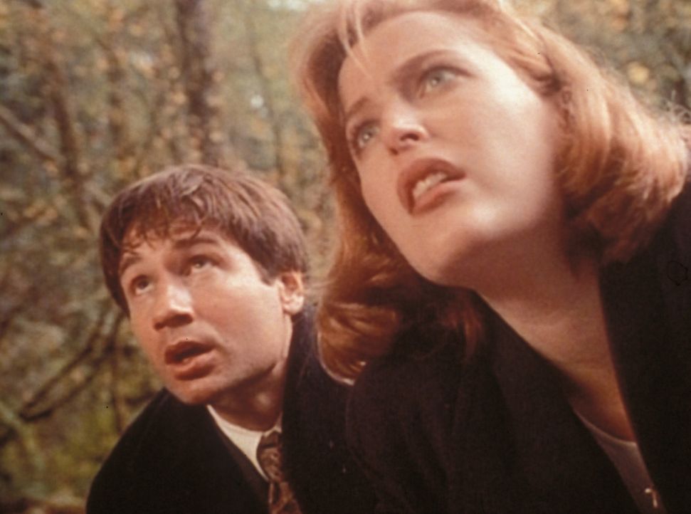 Mulder (David Duchovny, l.) und Scully (Gillian Anderson, r.) können gerade noch verhindern, dass der Entführer sein Opfer im Fluss ertränkt. - Bildquelle: TM +   Twentieth Century Fox Film Corporation. All Rights Reserved.