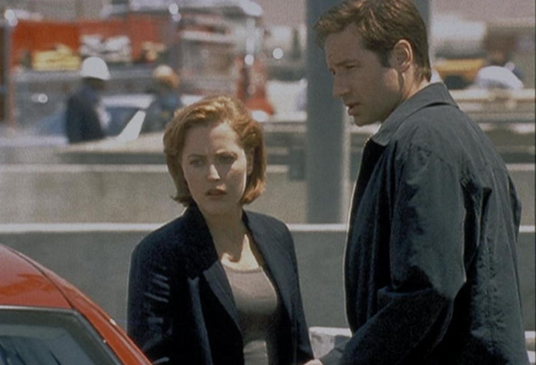 Auf dem Parkplatz eines Atomkraftwerkes in Phoenix machen Mulder (David Duchovny) und Scully (Gillian Anderson, l.) eine erstaunliche Entdeckung. - Bildquelle: TM +   2000 Twentieth Century Fox Film Corporation. All Rights Reserved.