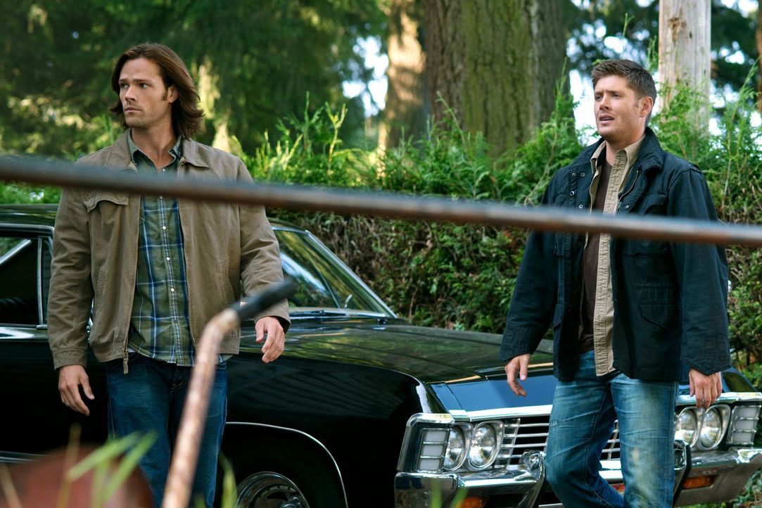 Während Dean (Jensen Ackles, r.) im Fegefeuer ums Überleben kämpft, versucht Sam (Jared Padalecki, l.), ein normales Leben zu führen ... - Bildquelle: Warner Bros. Television