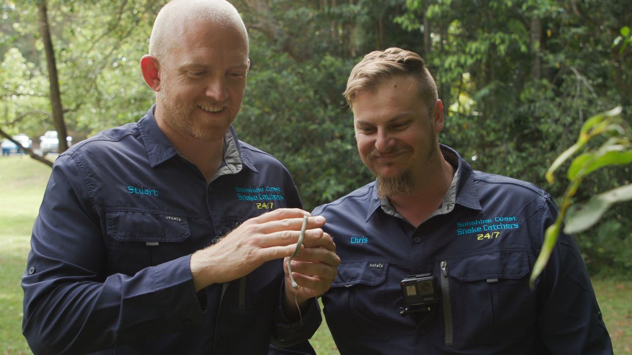 Die &quot;Aussie Snake Wranglers&quot; rund um Schlangenversteher Stuart McK... - Bildquelle: BREAKOUT PRODUCTIONS PTY LTD or its subsidiaries and affiliates. All rights reserved.