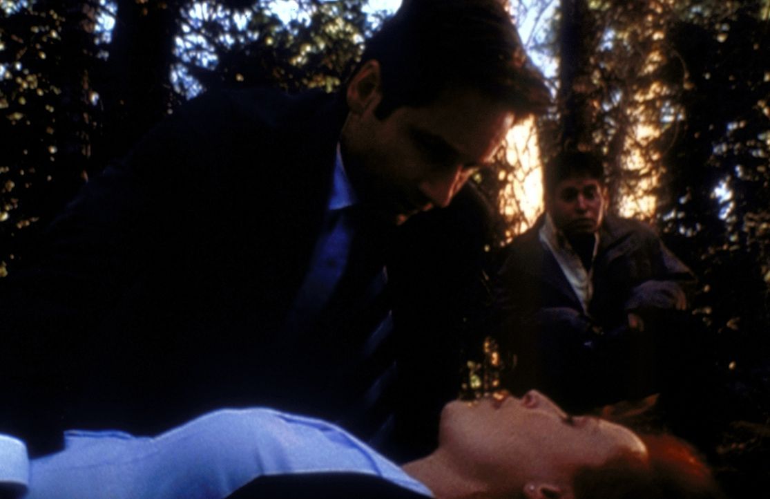 Mulder (David Duchovny, l.) und Richie (Judd Trichter, r.) kümmern sich um Scully (Gillian Anderson, M.), die auf der Suche nach einem Ufo ohnmächti... - Bildquelle: TM +   2000 Twentieth Century Fox Film Corporation. All Rights Reserved.