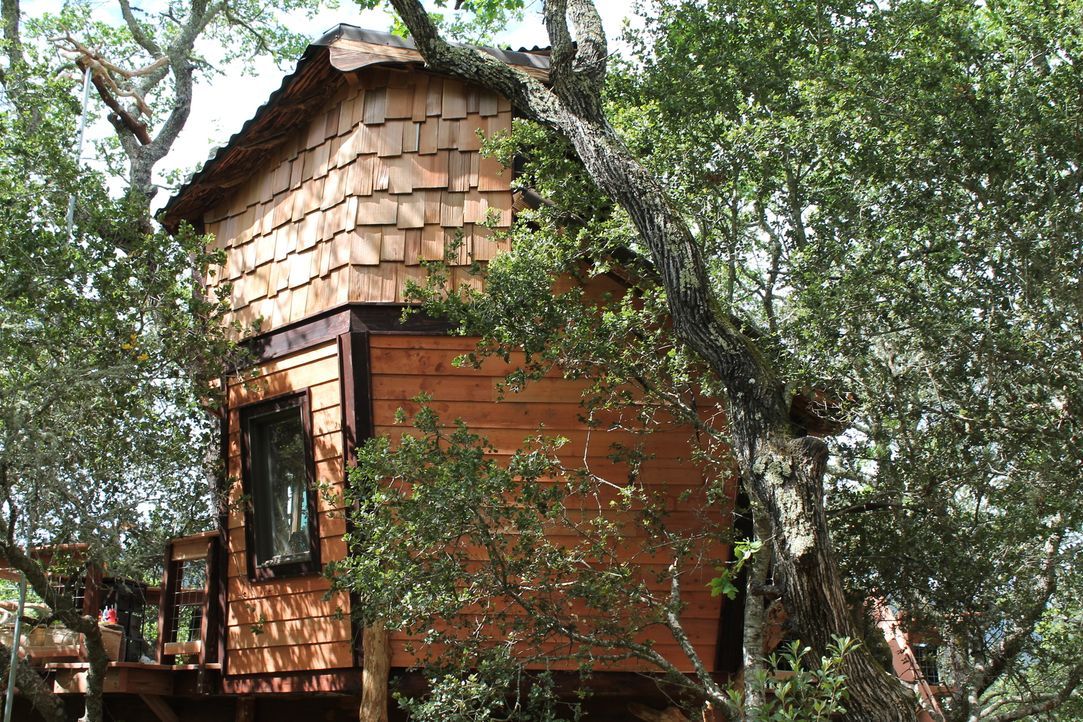 Wer träumt nicht von einem eigenen Baumhaus? Für Peter und Amy Harding wird dieser Traum jetzt dank der Treehouse Guys Realität ... - Bildquelle: 2015, DIY Network/Scripps Networks, LLC. All Rights Reserved.