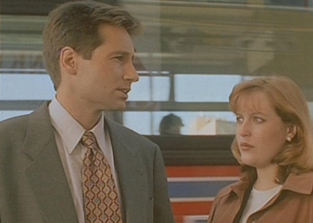 Mulder (David Duchovny, l.) und Scully (Gillian Anderson, r.) stellen fest, dass ein illegales Insektizid für die Mordserie in der Kleinstadt Frankl... - Bildquelle: TM +   Twentieth Century Fox Film Corporation. All Rights Reserved.