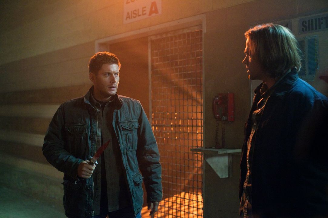 Können Sam (Jared Padalecki, r.) und Dean (Jensen Ackles, l.) ihre Unstimmigkeiten wenigstens dann vergessen, wenn sie gegen Crowley in den Kampf zi... - Bildquelle: Warner Bros. Television
