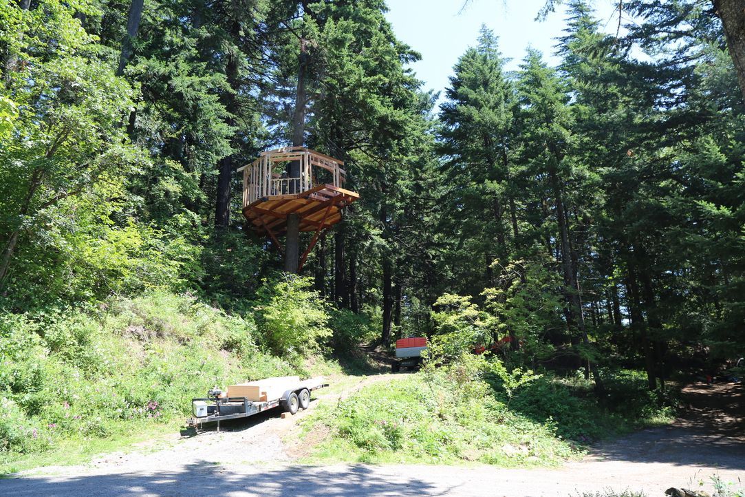 Der jüngere Bruder von Treehouse Guy Michael Garnier lässt sich davon überzeugen, auf seinem Grundstück in Washington ein Baumhaus zu bauen. Für die... - Bildquelle: 2016,DIY Network/Scripps Networks, LLC. All Rights Reserved
