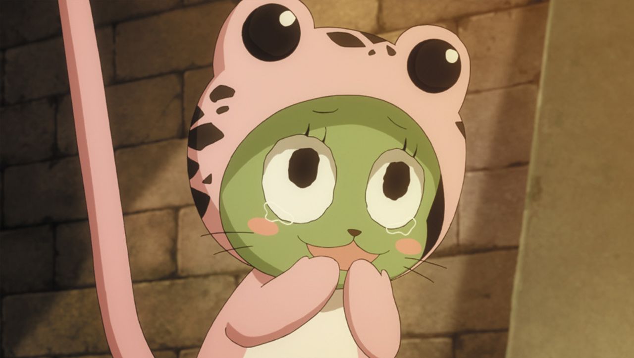 Fairy Tail Frosch Prosieben Maxx