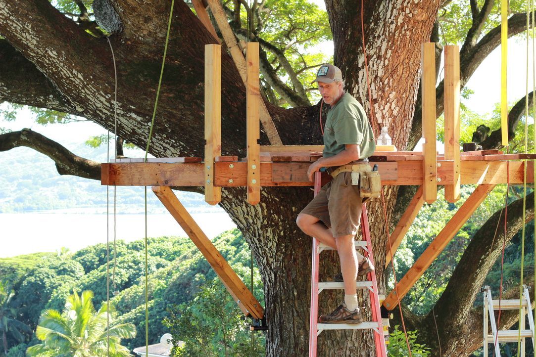 Für Treehouse Guy James "B'fer" Roth (Foto) ist kein Projekt zu kompliziert: Die Baumhaus-Profis sollen in einem äußerst beeindruckenden Regenbaum e... - Bildquelle: 2014, DIY Network/Scripps Networks, LLC. All RIghts Reserved.