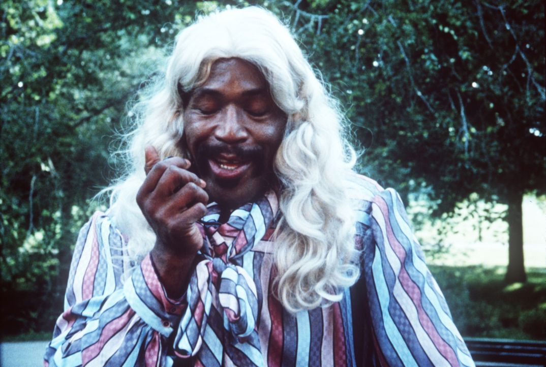 Hightower (Bubba Smith) hat sich für einen Einsatz als Hippie verkleidet ... - Bildquelle: Warner Bros.