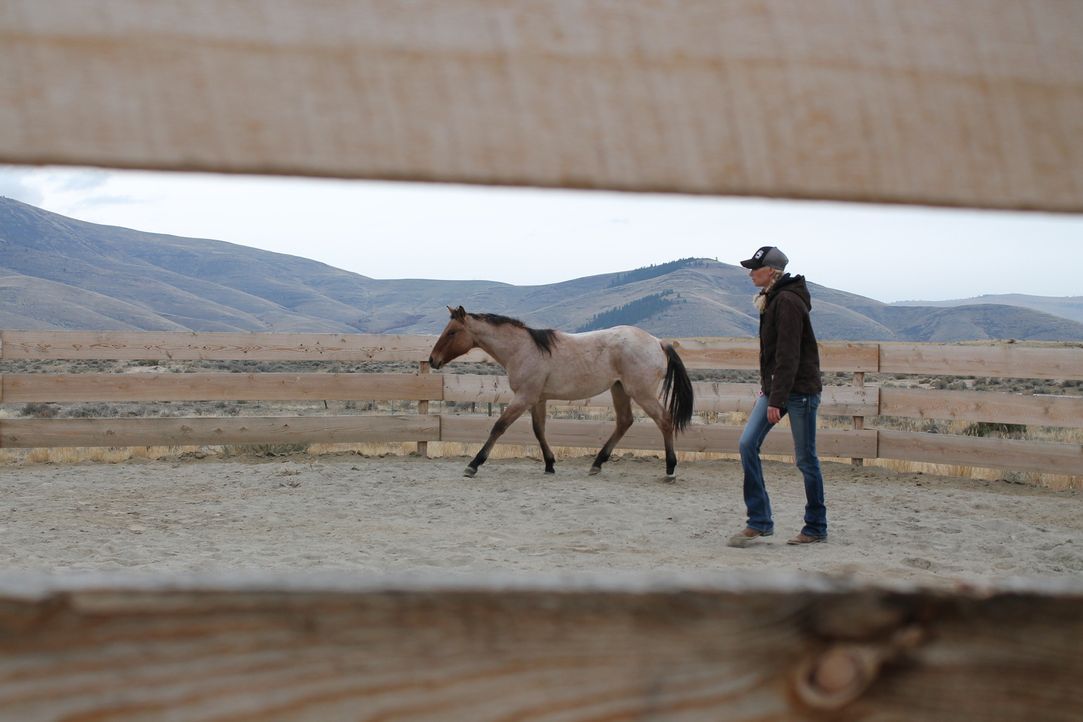 Der Winter kommt schneller als gedacht. Werden Etta (Foto) und ihr Mann Jon ihre Ranch noch rechtzeitig fertigstellen können? - Bildquelle: 2016,DIY Network/Scripps Networks, LLC. All Rights Reserved