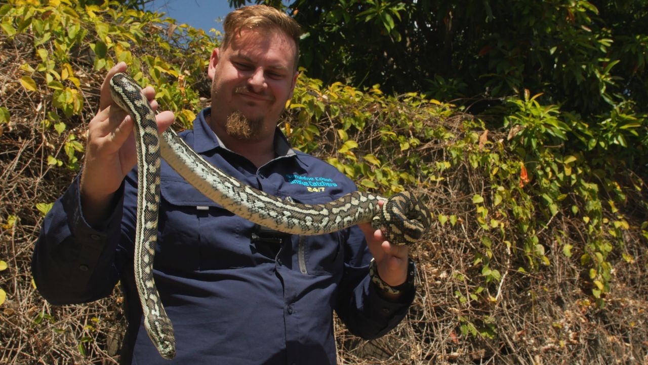 Die &quot;Aussie Snake Wranglers&quot; rund um Schlangenversteher Stuart McK... - Bildquelle: BREAKOUT PRODUCTIONS PTY LTD or its subsidiaries and affiliates. All rights reserved.
