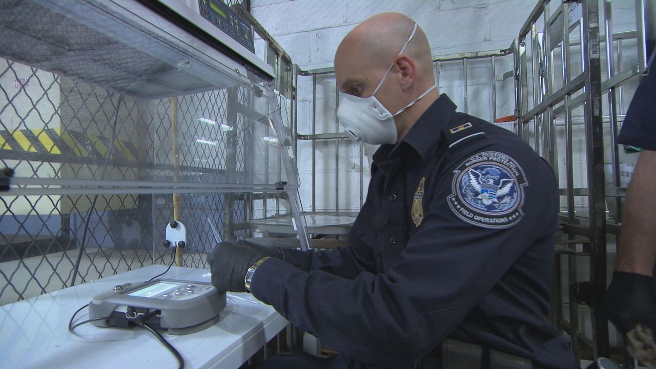Die Zoll- und Grenzschutzbeamten überprüfen einige Paletten und Container am... - Bildquelle: Licensed by Cineflix International