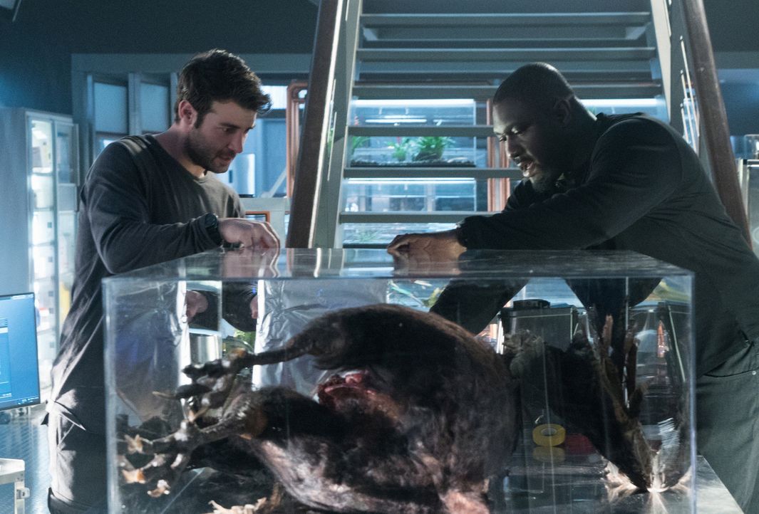 Abe (Nonso, Anozie, r.) und Jackson (James, Wolk, l.) machen am Körper eines toten Hybriden eine Entdeckung, die alles verändern könnte ... - Bildquelle: Shane Harvey 2017 CBS Broadcasting, Inc. All Rights Reserved