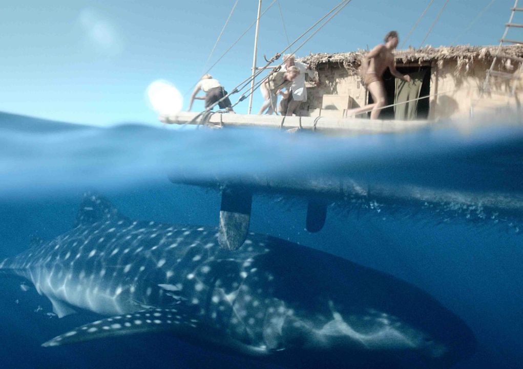 Ist der Wal gefährlich für das Boot und die Crew oder reagiert sie über? - Bildquelle: DCM Film Distribution GmbH