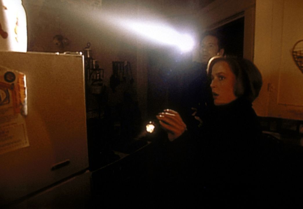 Mulder (David Duchovny, l.) und Scully (Gillian Anderson, r.) durchsuchen ein altes leer stehendes Haus ... - Bildquelle: TM +   2000 Twentieth Century Fox Film Corporation. All Rights Reserved.