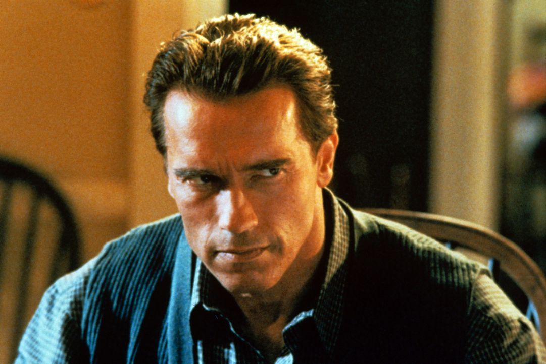 Viele Jahre gelingt es dem Top-Agenten Harry Tasker (Arnold Schwarzenegger), sich als Computerhändler zu tarnen. Doch dann steht die Welt plötzlich... - Bildquelle: 1994 Twentieth Century Fox Film Corporation.  All rights reserved.