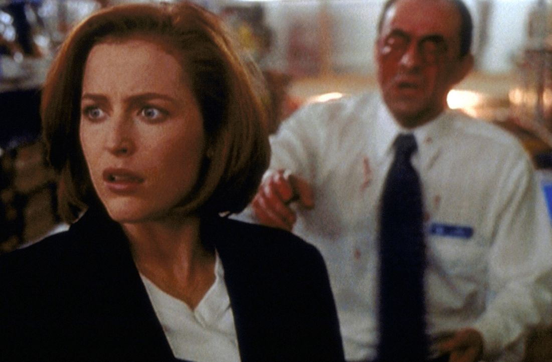 Scully (Gillian Anderson, l.) ist über die blutige Szene in einem Supermarkt völlig entsetzt. Auch der Manager (Gordon Tipple, r.) hat sich selbst b... - Bildquelle: TM +   2000 Twentieth Century Fox Film Corporation. All Rights Reserved.