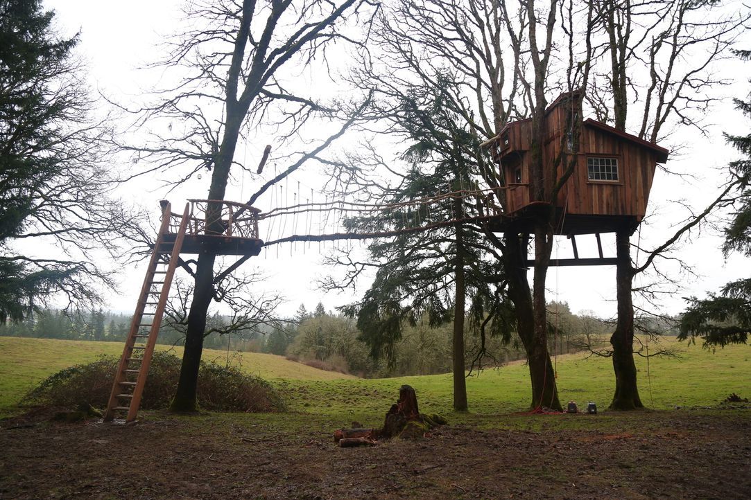 Die Baumhausbauer sollen in Oregon für einen Baumkletter-Meister und dessen Familie ein 18 qm großes Eichenbaumhaus zimmern. Leichter gesagt als get... - Bildquelle: 2015, DIY Network/Scripps Networks, LLC. All Rights Reserved.