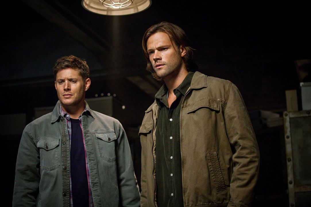 Eigentlich kämpfen Sam (Jared Padalecki, r.) und Dean (Jensen Ackles, l.) gemeinsam gegen die Dämonen, doch sie sind jetzt nicht mehr nur zu zweit .... - Bildquelle: 2013 Warner Brothers