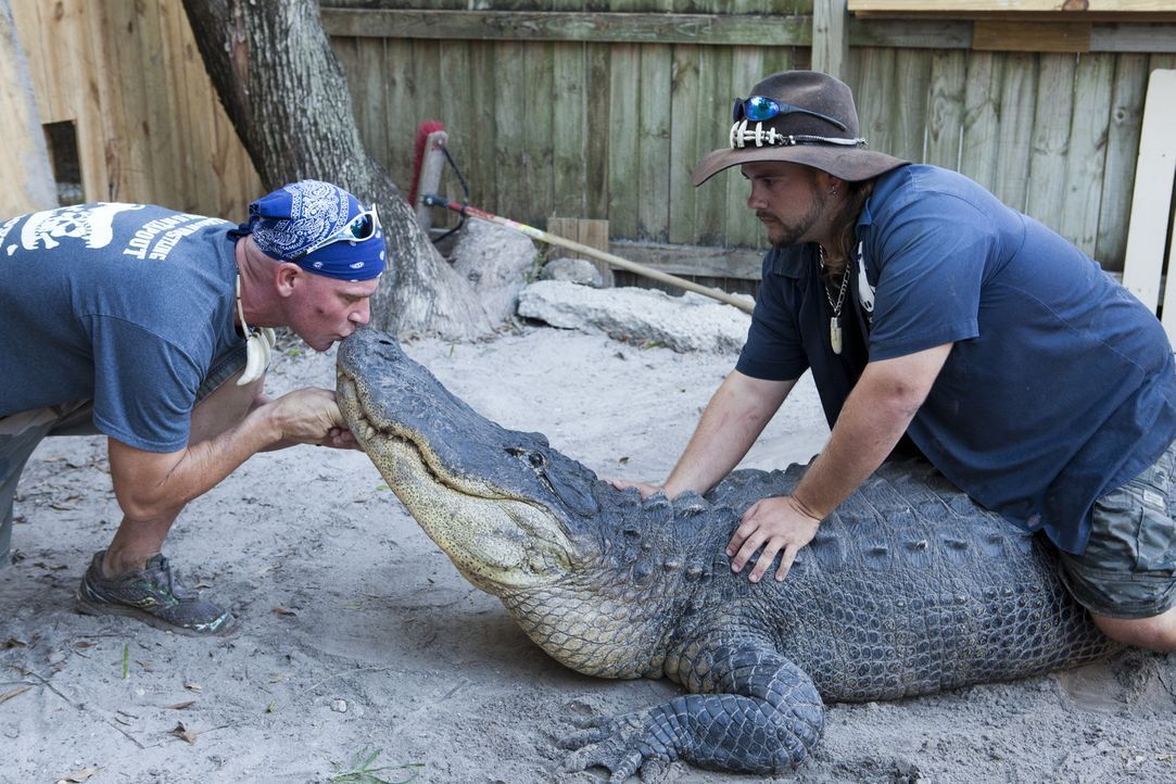 (1. Staffel) - Haben keine Angst vor Krokodilen: die Gator Boys Paul Bedard (l.) und Jimmy Riffle (r.) ... - Bildquelle: Bob Croslin 2011 Discovery Communications