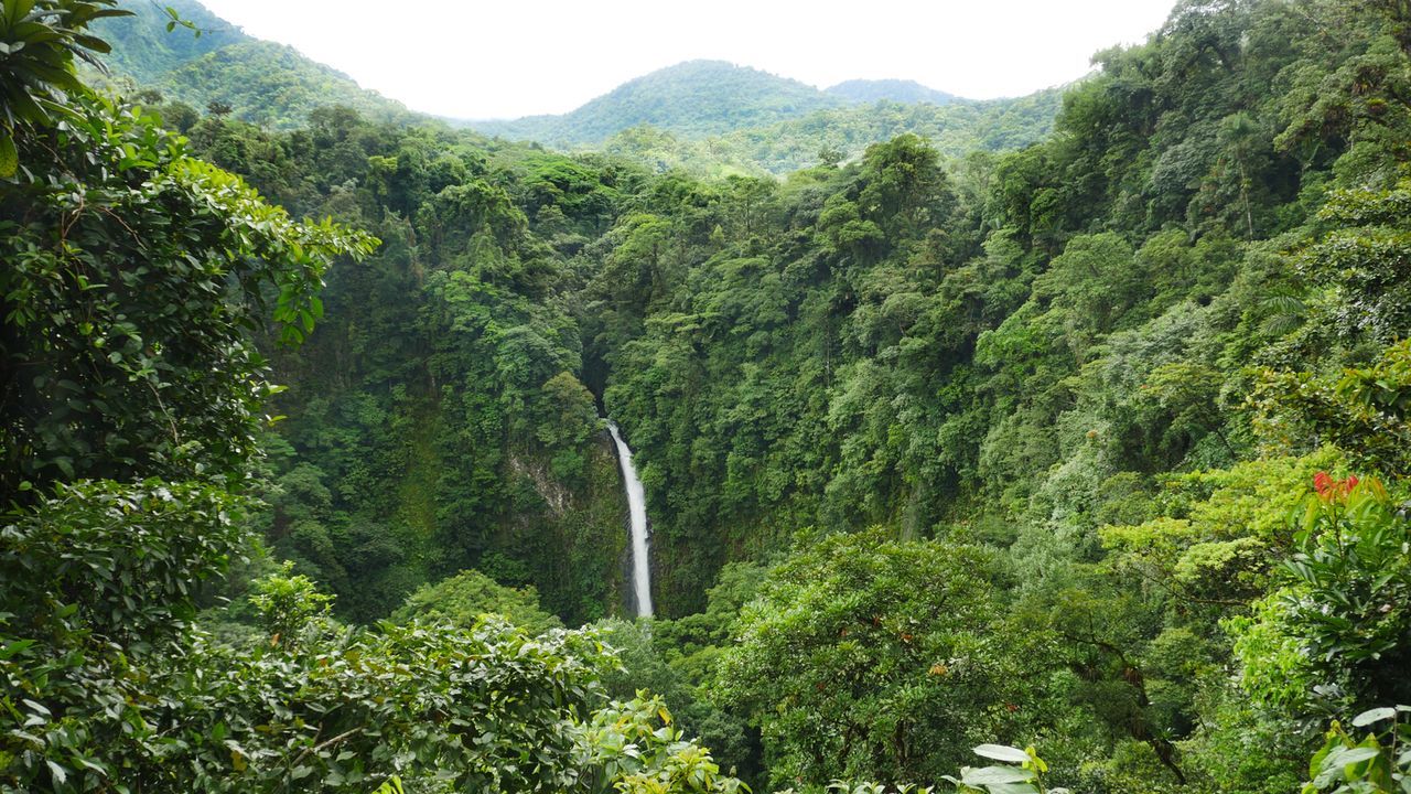 Schon aus der Weite sehr beeindruckend: Der "La Fortuna Wasserfall" in Costa Rica. - Bildquelle: 2016,The Travel Channel, L.L.C. All Rights Reserved