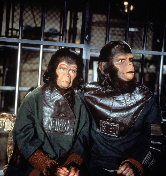 Die fremdartigen Affenwesen Cornelius (Roddy McDowall, r.) und Zira (Kim Hunter, l.) sind zunächst eine Sensation und werden von den Erdenbewohnern...