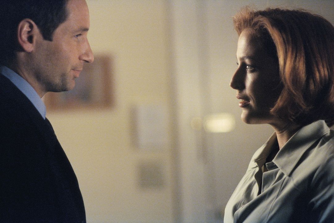 In ihrer Schwangerschaft nimmt Scully (Gillian Anderson, r.) sich oft die Zeit, um an die gemeinsame Vergangenheit mit Mulder (David Duchovny, l.) z... - Bildquelle: TM +   2000 Twentieth Century Fox Film Corporation. All Rights Reserved.