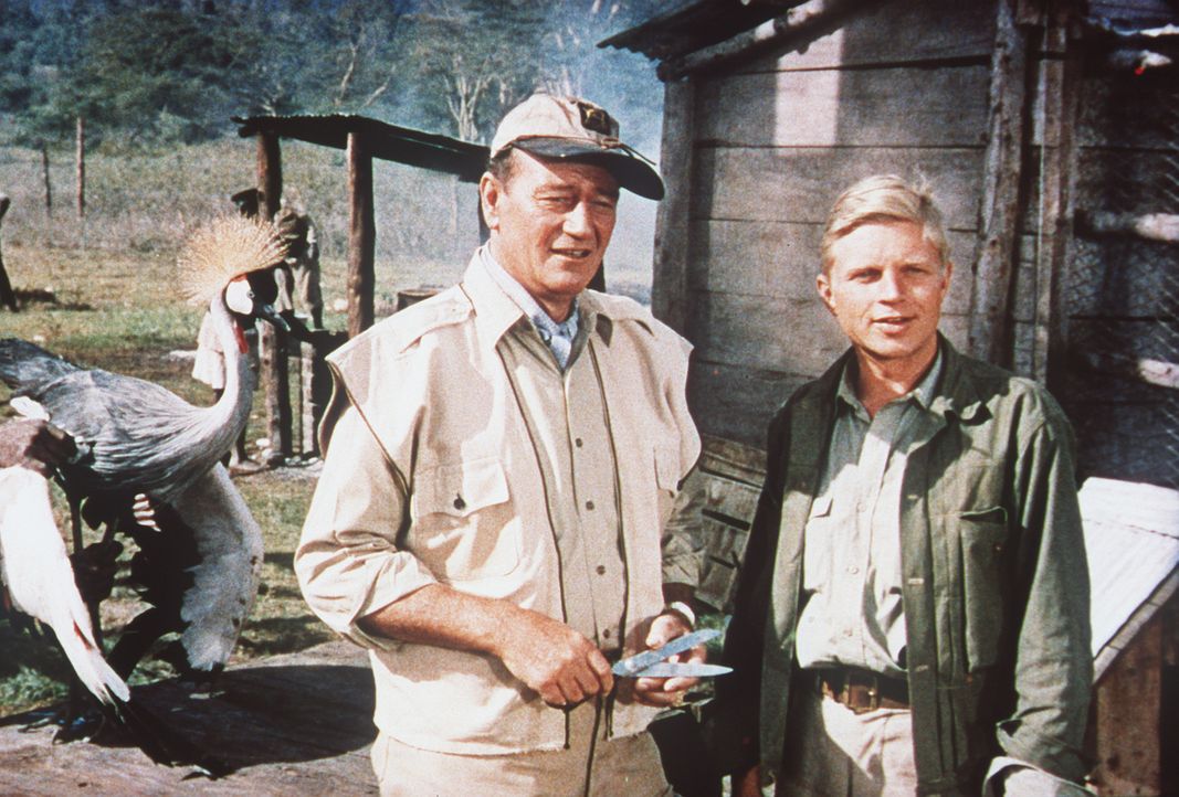 Der Amerikaner Sean Mercer (John Wayne, l.), der nach einer unglücklich verlaufenen Liebesaffäre in den Busch kam, und Kurt Stahl (Hardy Krüger, r.)... - Bildquelle: Paramount Pictures