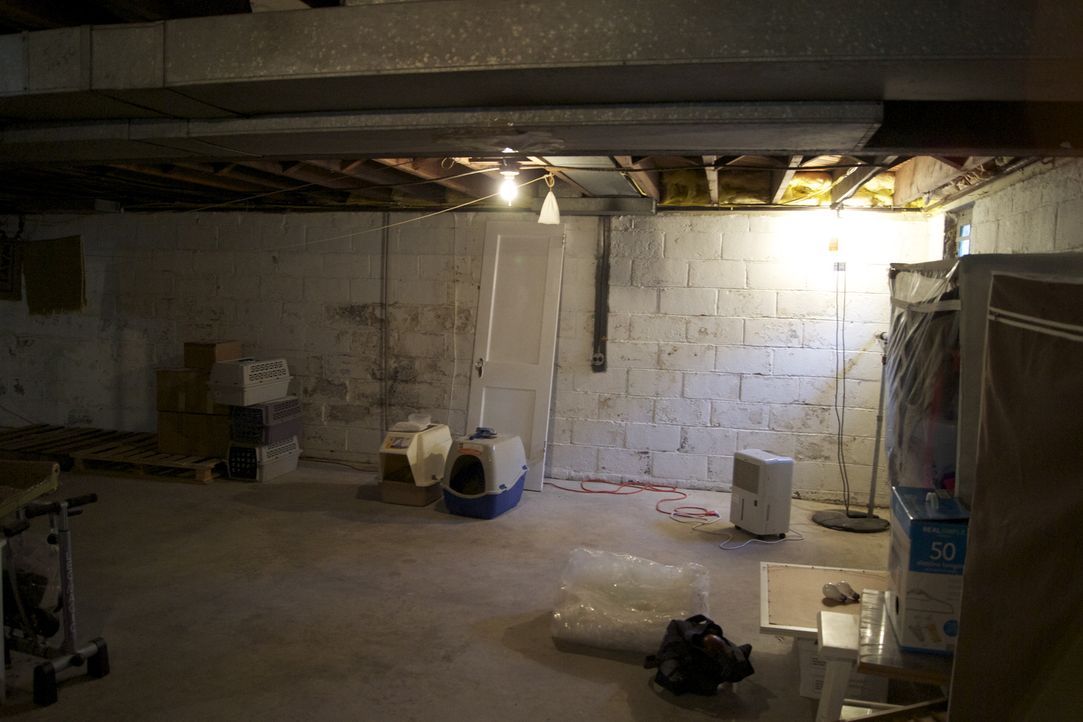 Aus diesem Keller-Raum soll ein Keller Deluxe werden. Auf Josh Temple und sein Team wartet viel Arbeit ... - Bildquelle: 2011, DIY Network/Scripps Networks, LLC.  All Rights Reserved