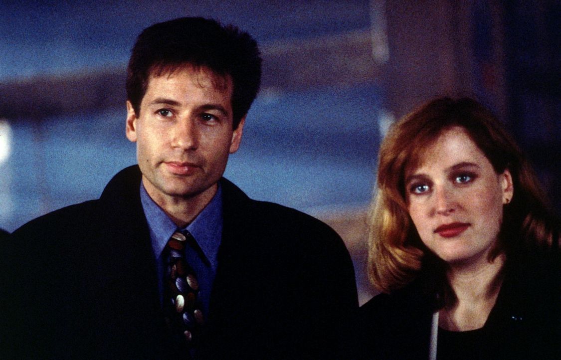 Mulder (David Duchovny, l.) und Scully (Gillian Anderson, r.) werden in Wisconsin mit einer Sekte konfrontiert, die als Vegetarier im Land der Viehz... - Bildquelle: TM +   Twentieth Century Fox Film Corporation. All Rights Reserved.