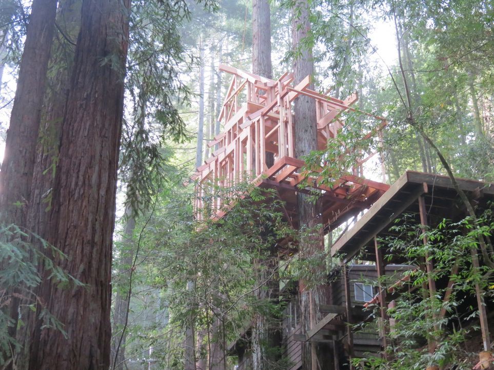 Dieses Mal legen die Treehouse Guys in den Bäumen Guernevilles Hand an. Die massiven Rothölzer bieten perfekte Möglichkeiten, um einer vierköpfigen... - Bildquelle: 2016,DIY Network/Scripps Networks, LLC. All Rights Reserved.