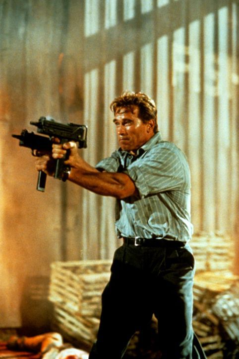 Auf gnadenlosem Kurs: Harry Tusker (Arnold Schwarzenegger) ... - Bildquelle: 1994 Twentieth Century Fox Film Corporation.  All rights reserved.