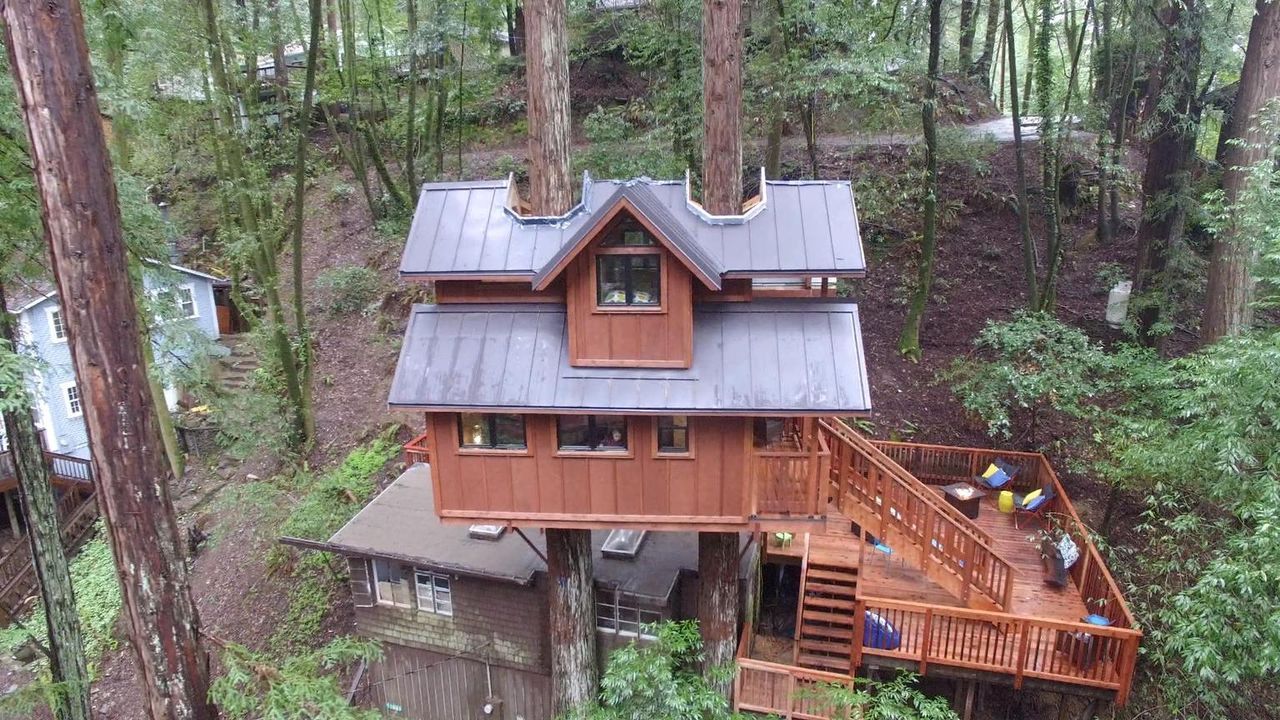 Auf die Bäume fertig los: Für die Treehouse Guys geht es in Guerneville mal wieder hoch hinaus, denn eine vierköpfige Familie wünscht sich einen Erh... - Bildquelle: 2016,DIY Network/Scripps Networks, LLC. All Rights Reserved.