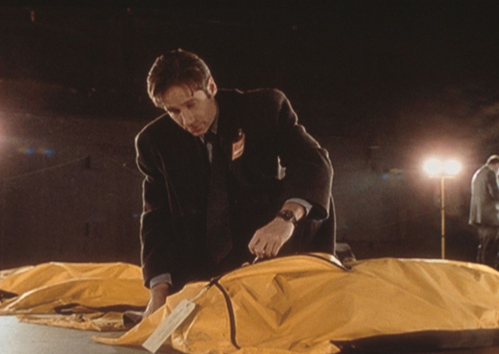 Mulder (David Duchovny) untersucht die Opfer eines Flugzeugabsturzes ... - Bildquelle: TM +   2000 Twentieth Century Fox Film Corporation. All Rights Reserved.