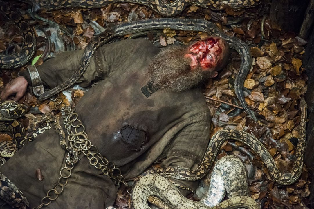 Kann Ragnar (Travis Fimmel) die Schlangengrube überleben? - Bildquelle: 2016 TM PRODUCTIONS LIMITED / T5 VIKINGS III PRODUCTIONS INC. ALL RIGHTS RESERVED.