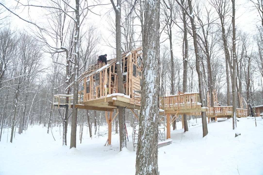 Das neue Projekt der Treehouse Guys: Der "Sunshine Campus", ein Feriencamp für behinderte Kinder, soll sein eigenes Baumhaus bekommen. - Bildquelle: 2015, DIY Network/Scripps Networks, LLC. All Rights Reserved.