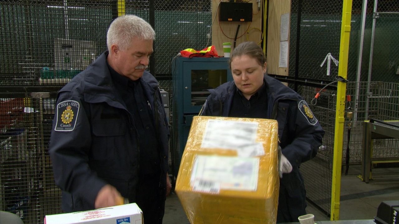 An der kanadischen Grenze haben die Beamten alle Hände voll zu tun - die Grenzbeamten haben jedoch erprobte Spürnasen und wissen genau, welcher der... - Bildquelle: Force Four Entertainment / BST Media 2 Inc.