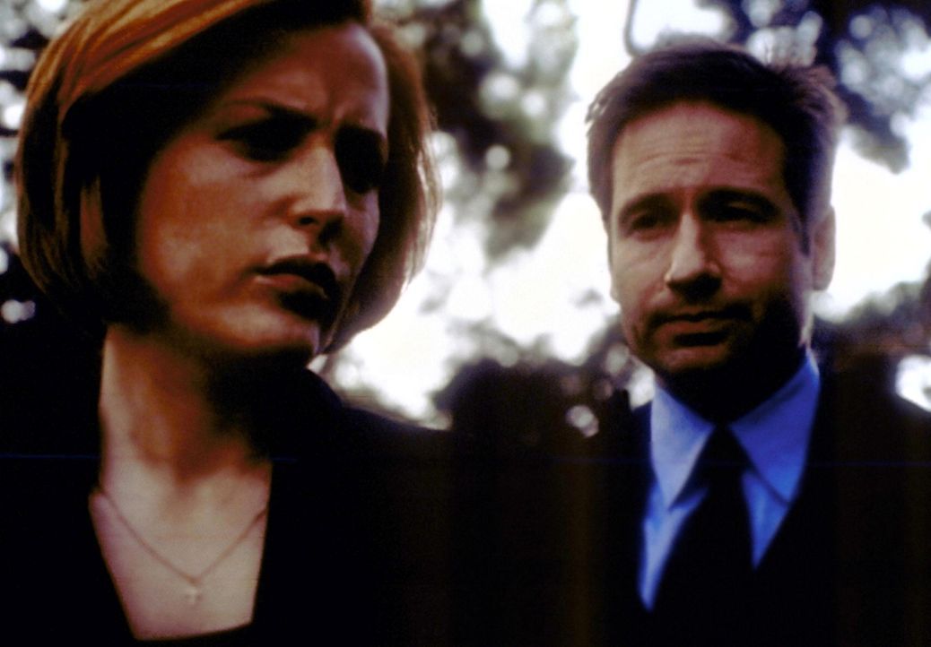 Scully (Gillian Anderson, l.) und Mulder (David Duchovny, r.) suchen nach einem Gefängnisgeistlichen, der einem Mörder zur Flucht verholfen hat. - Bildquelle: TM +   2000 Twentieth Century Fox Film Corporation. All Rights Reserved.