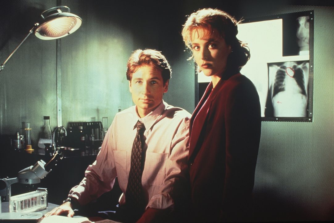 (1. Staffel) - Während die FBI-Agentin und Wissenschaftlerin Scully (Gillian Anderson, r.) übernatürlichen Vorgängen mit viel Skepsis begegnet, ist... - Bildquelle: TM +   Twentieth Century Fox Film Corporation. All Rights Reserved.