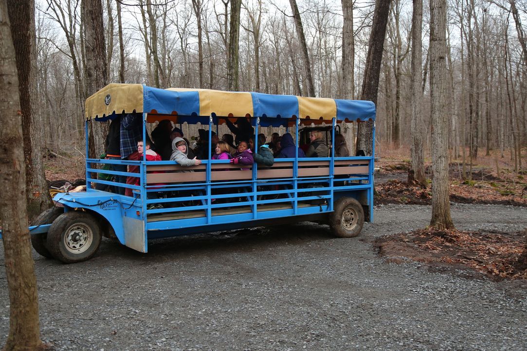 Können die Treehouse Guys den Baumhaus-Traum der Kinder des "Sunshine Campus" (Foto) im Norden von New York erfüllen? Die Kinder wünschen sich einen... - Bildquelle: 2015, DIY Network/Scripps Networks, LLC. All Rights Reserved.
