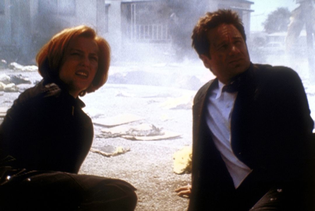 Scully (Gillian Anderson, l.) und Mulder (David Duchovny, r.) sind bei der Explosion eines Wohnwagens mit dem Leben davongekommen. - Bildquelle: TM +   2000 Twentieth Century Fox Film Corporation. All Rights Reserved.