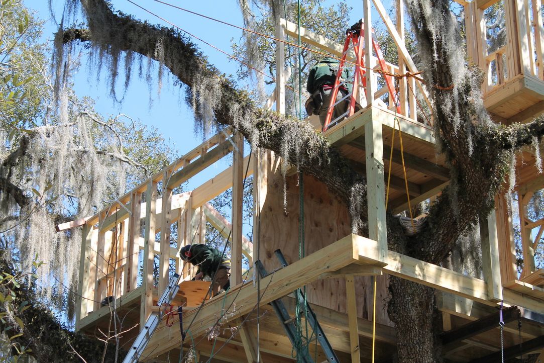In einer hundert Jahre alten Eiche soll ein riesiges Baumhaus entstehen. Ein Auftrag, der jede Menge Arbeit für die Treehouse Guys bedeutet ... - Bildquelle: 2015, DIY Network/Scripps Networks, LLC. All Rights Reserved.