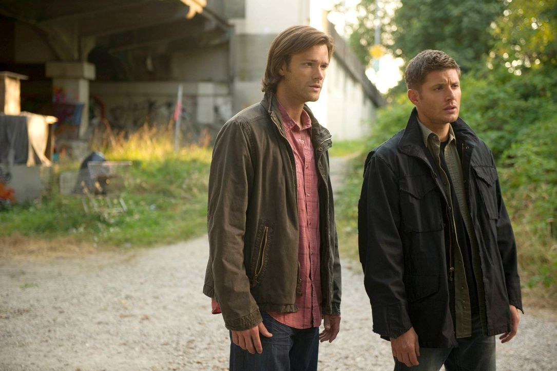 Sam (Jared Padalecki, l.) und Dean (Jensen Ackles, r.) recherchieren nach Castiels Aufenthaltsort. Keine einfache Aufgabe ... - Bildquelle: 2013 Warner Brothers