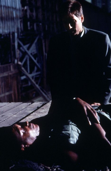 Augustus Cole (Tony Todd, liegend), der Hauptverdächtige von Mulder (David Duchovny,hinten), wird erschossen, bevor er sein großes Geheimnis preisge... - Bildquelle: TM +   Twentieth Century Fox Film Corporation. All Rights Reserved.