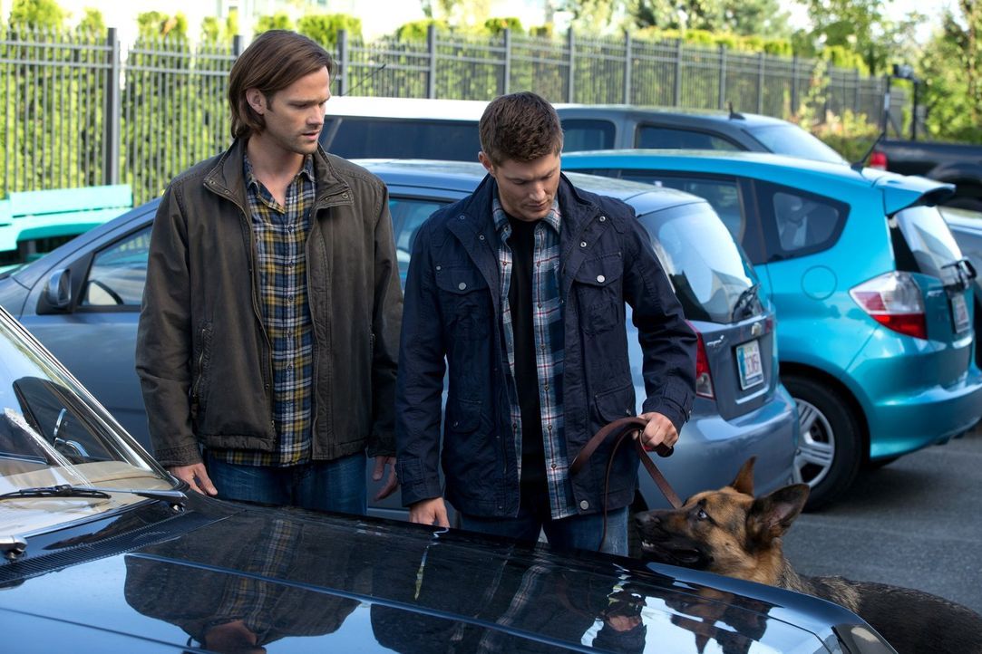 Zwei bizarre Mordfälle treiben Sam (Jared Padalecki, l.) und Dean (Jensen Ackles, r.) zu ungewöhnlichen Ermittlungsmethoden ... - Bildquelle: 2013 Warner Brothers