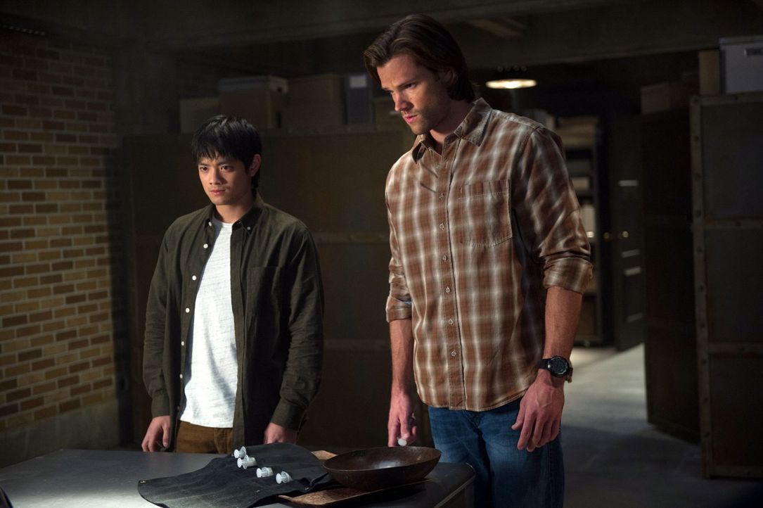 Während Dean sich auf den Weg zu Castiel macht, müssen Kevin (Osric Chau, l.) und Sam (Jared Padalecki, r.) in den Büchern nach ausgestorbenen Sprac... - Bildquelle: 2013 Warner Brothers