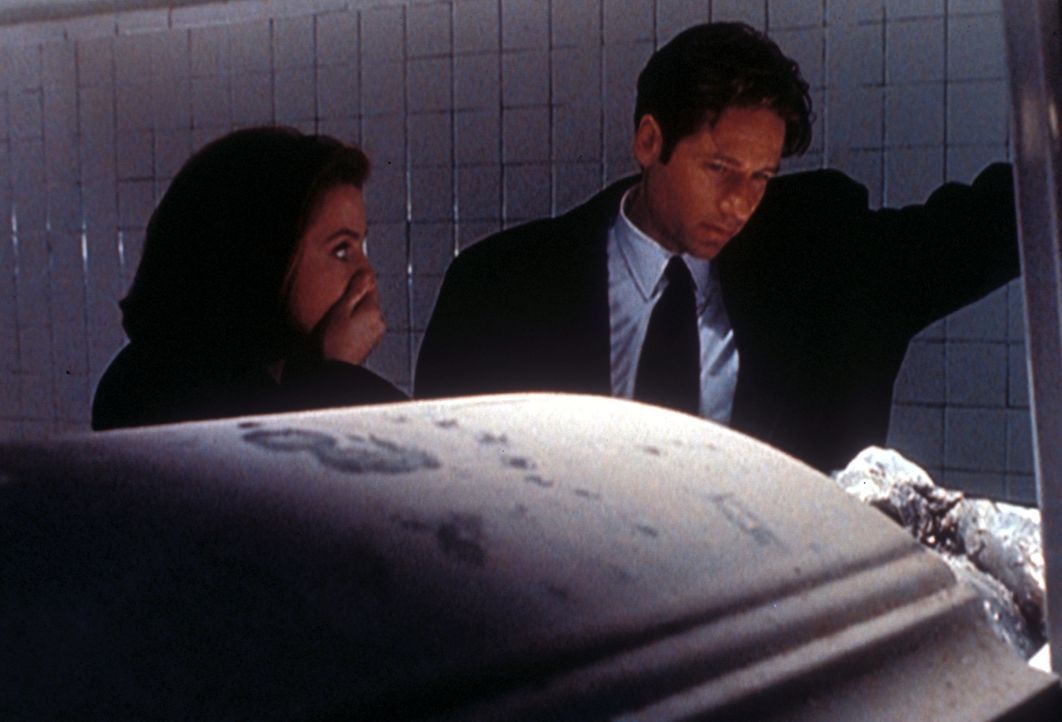Mulder (David Duchovny, r.) und Scully (Gillian Anderson, l.) schauen sich in der Leichenhalle eines Krankenhauses die enthauptete Leiche eines Mann... - Bildquelle: TM +   2000 Twentieth Century Fox Film Corporation. All Rights Reserved.
