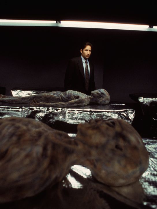 Fox Mulder (David Duchovny) - Bildquelle: 1998 Twentieth Century Fox Film Corporation.  All rights reserved.