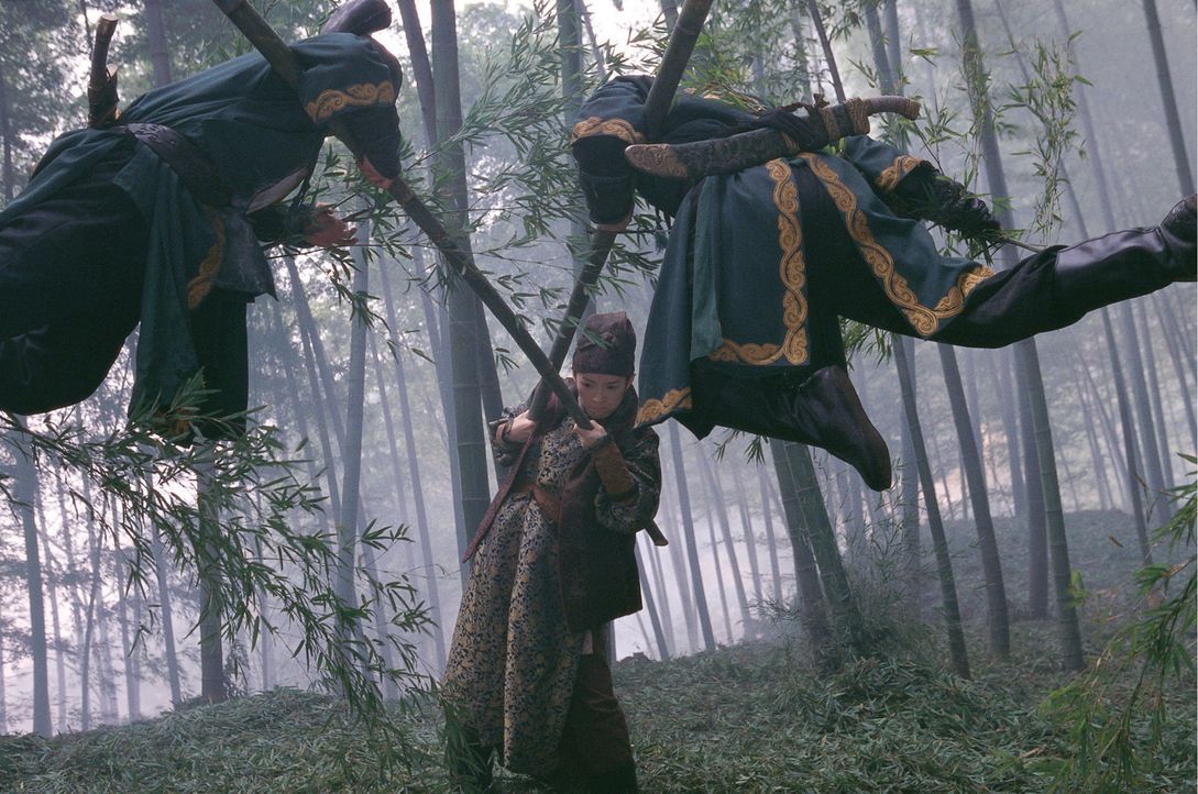 Das "House of Flying Daggers" ist den Herrschern der Tang-Dynastie schon lange ein Dorn im Auge. Zwar haben Soldaten es geschafft den Anführer zu e... - Bildquelle: Constantin Film